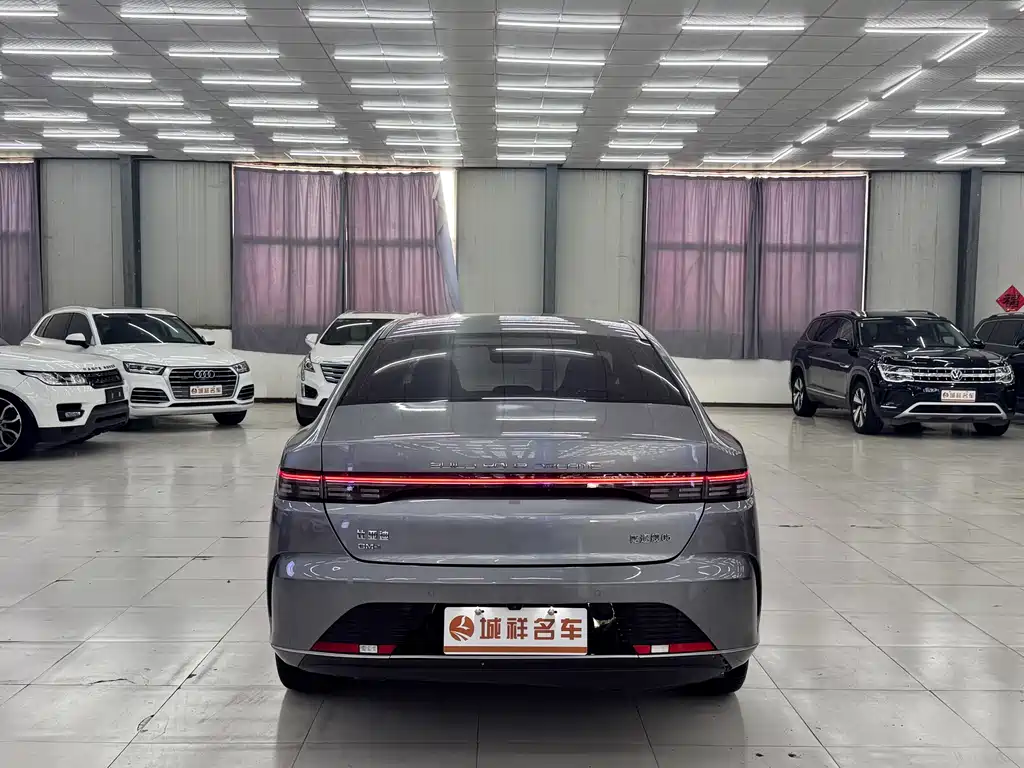BYD Destroyer 05 — миниатюра 9