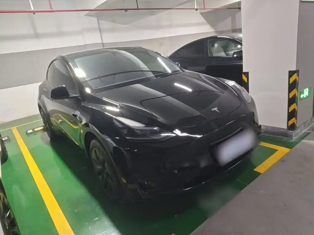 Tesla Model Y — миниатюра 4