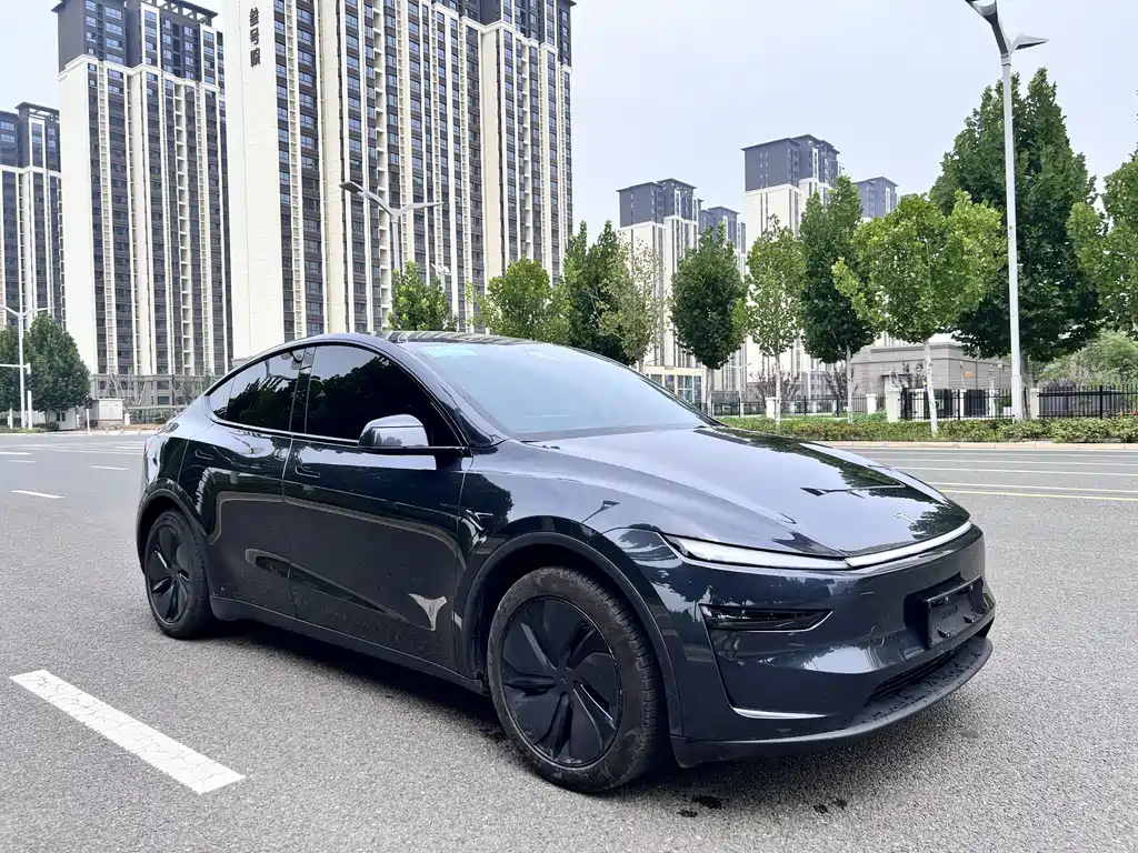 Tesla Model Y — миниатюра 3