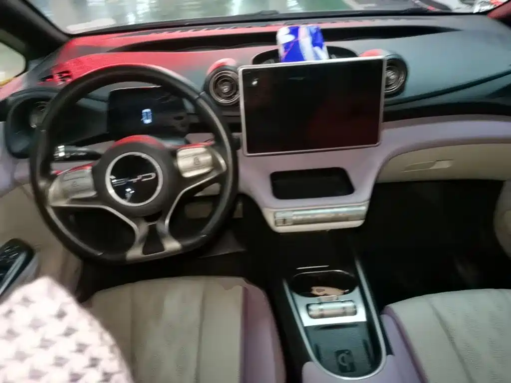 BYD Dolphin — миниатюра 10