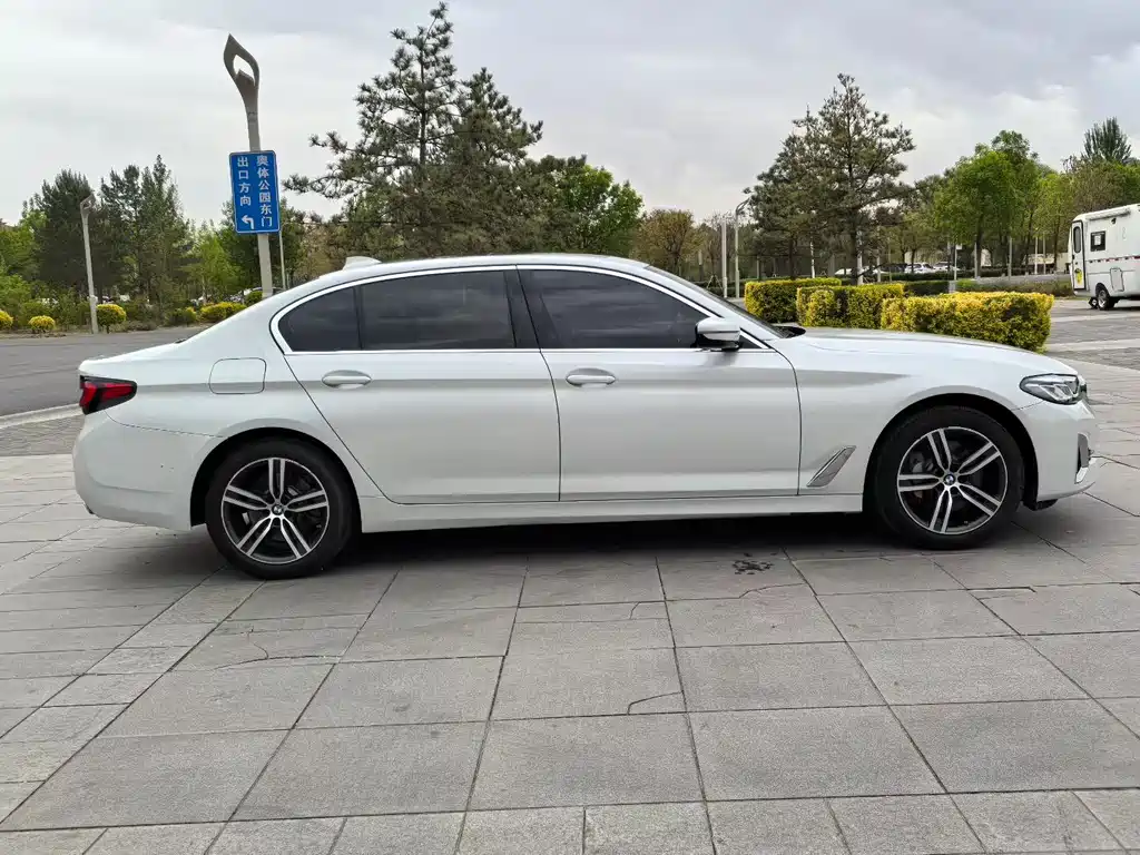 BMW 5 Series 5 2021 530Li Lead Luxury
