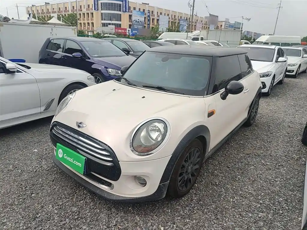 Mini Mini 2017