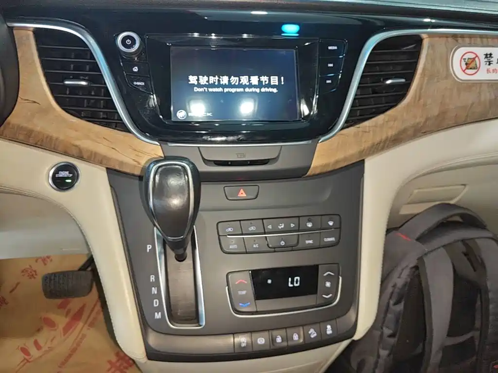 Buick GL8 — миниатюра 13