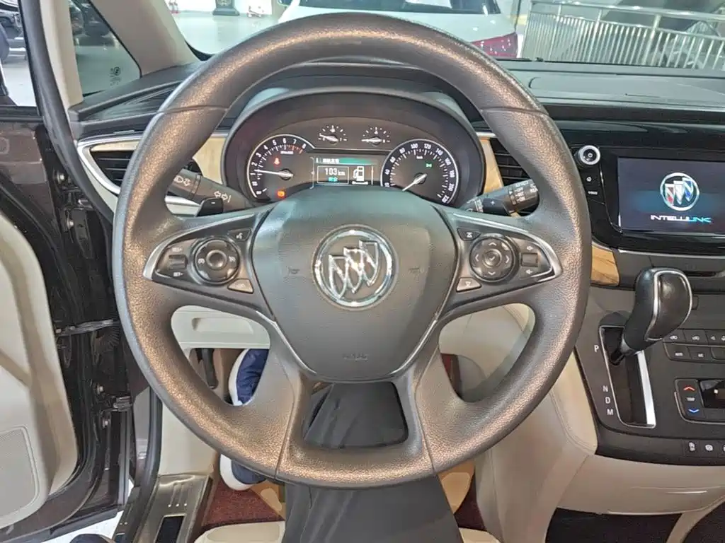Buick GL8 — миниатюра 11