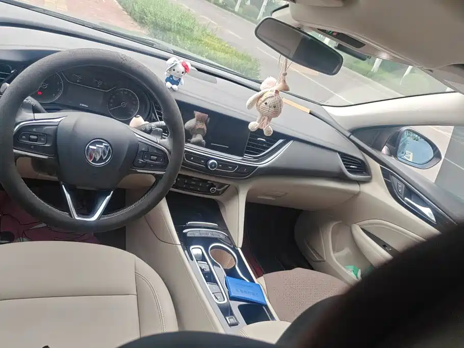 Buick Regal — миниатюра 12