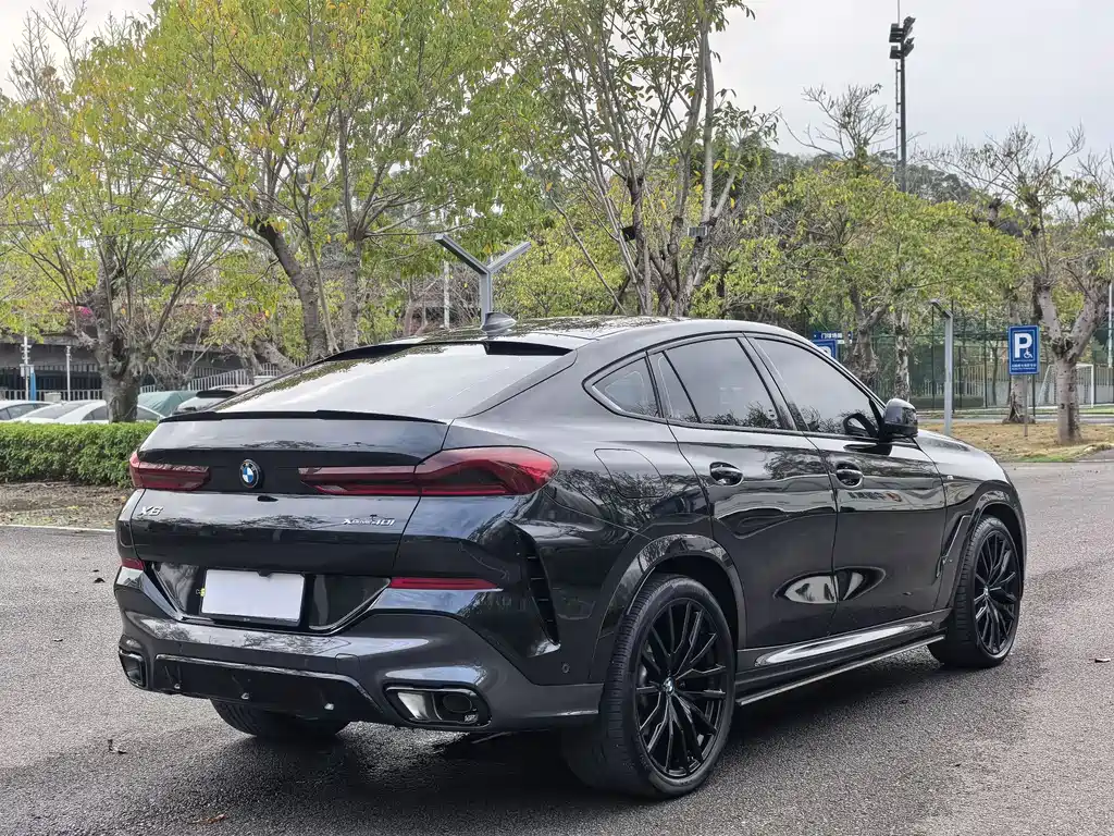 BMW X6