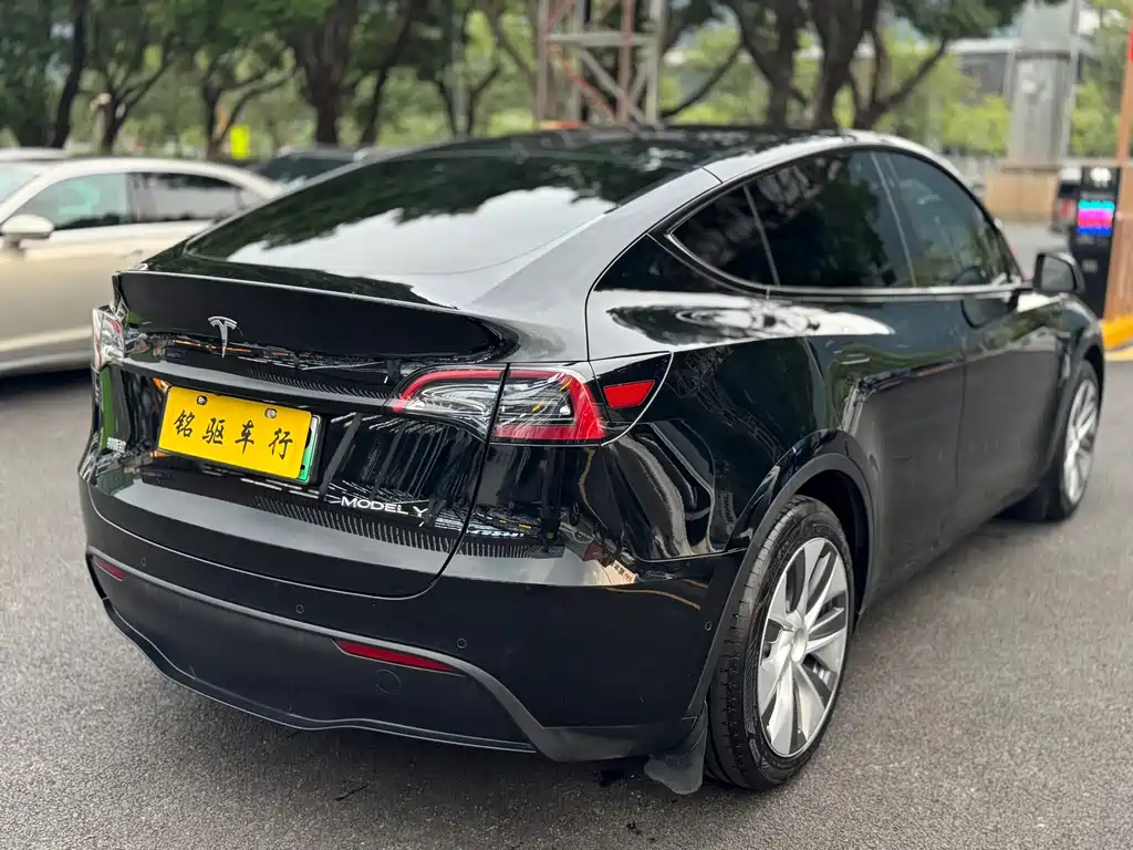 Tesla Model Y — миниатюра 7
