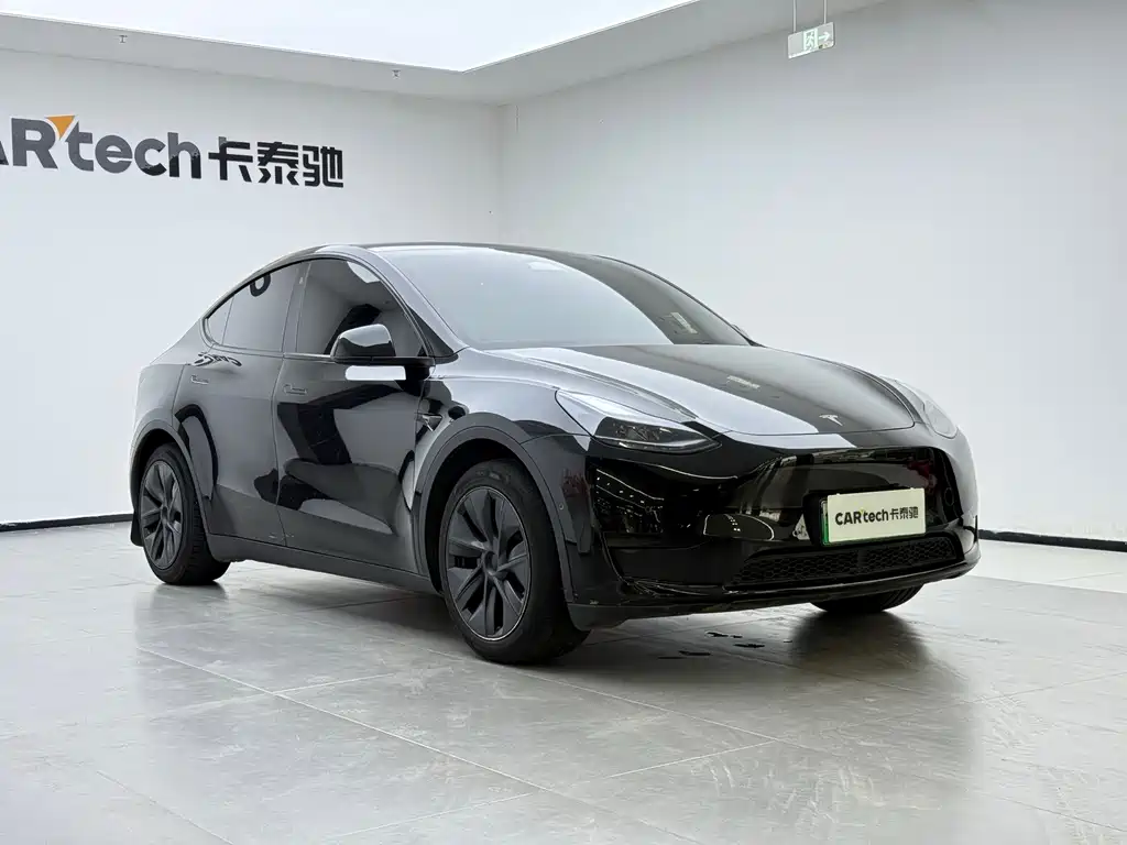 Tesla Model Y — миниатюра 6