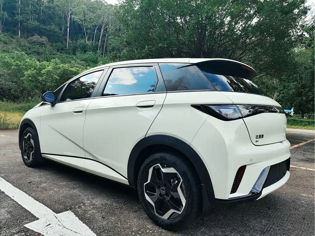 BYD Dolphin — миниатюра 7