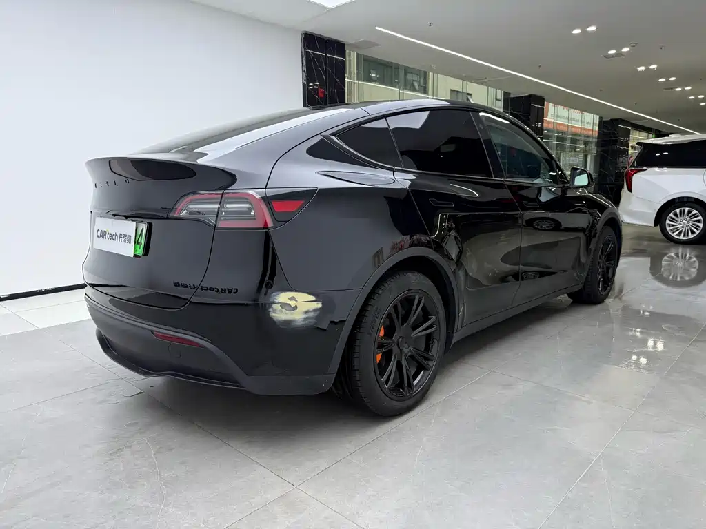 Tesla Model Y — миниатюра 3