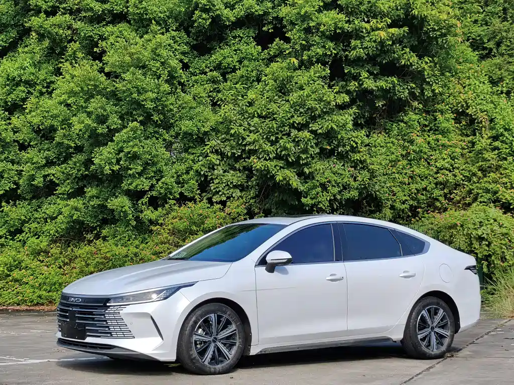 BYD Destroyer 05