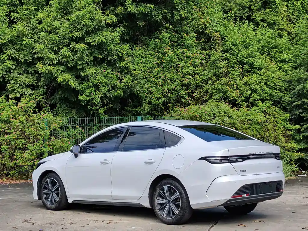 BYD Destroyer 05 — миниатюра 4