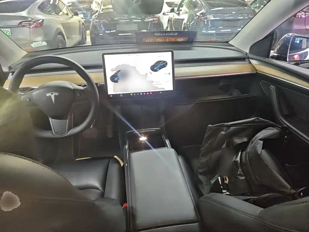 Tesla Model Y — миниатюра 10