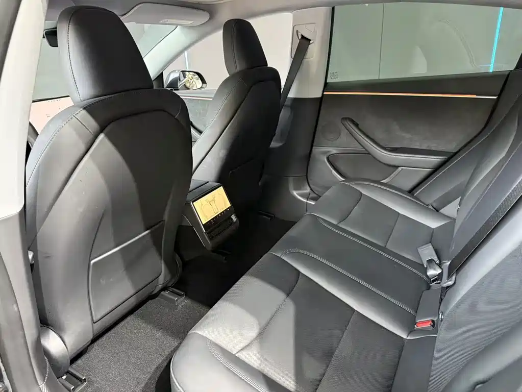Tesla Model 3 — миниатюра 10