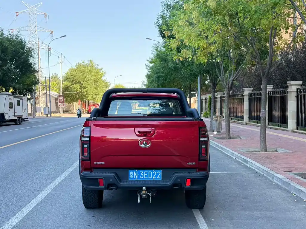 Great Wall Pao — миниатюра 8