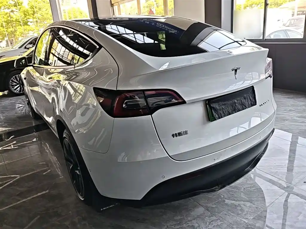 Tesla Model Y 2021 3D7