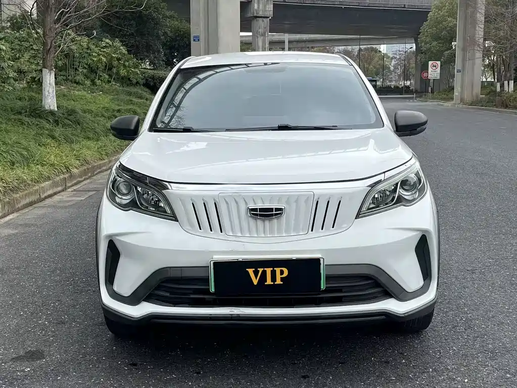 GEELY GEOMETRY EX3 KUNG FU COW