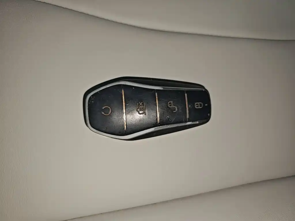 BYD Pro New Energy — миниатюра 9