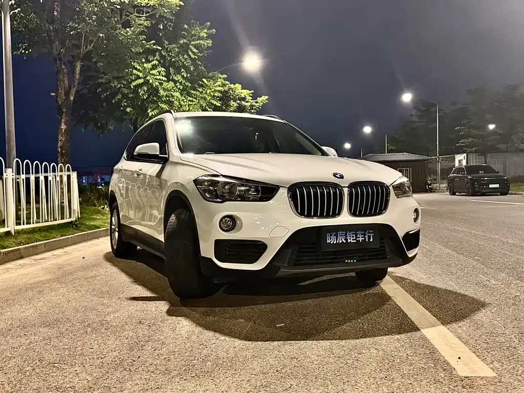 BMW X1 — миниатюра 2