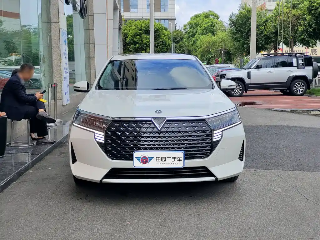 Venucia D60 — миниатюра 2