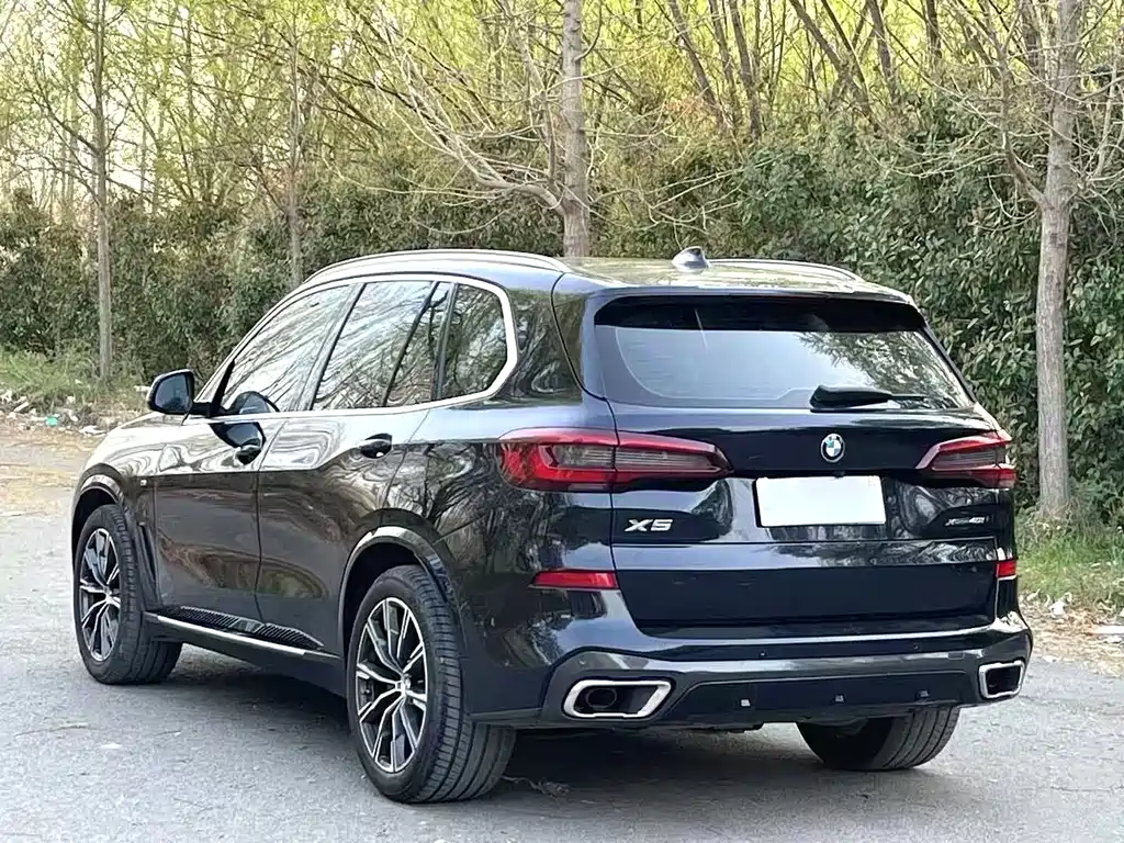 BMW X5 (Import) — миниатюра 7
