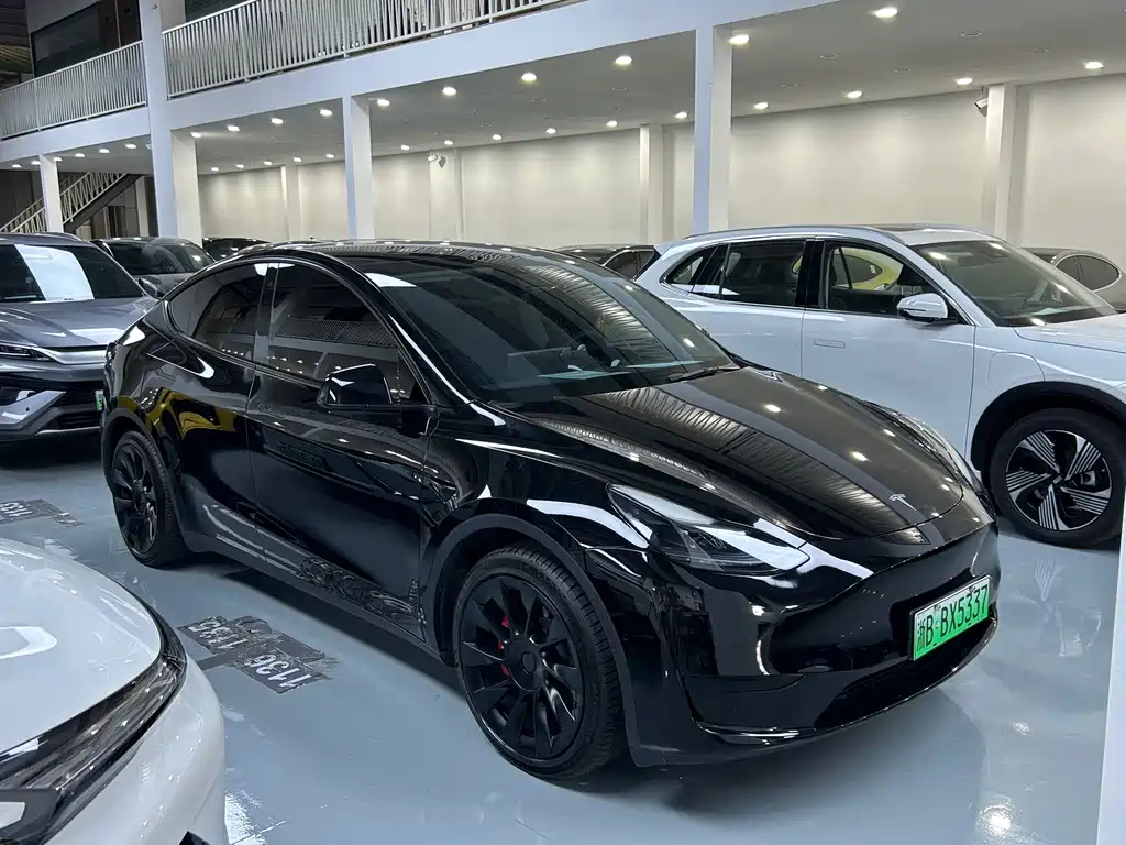 Tesla Model Y — миниатюра 3