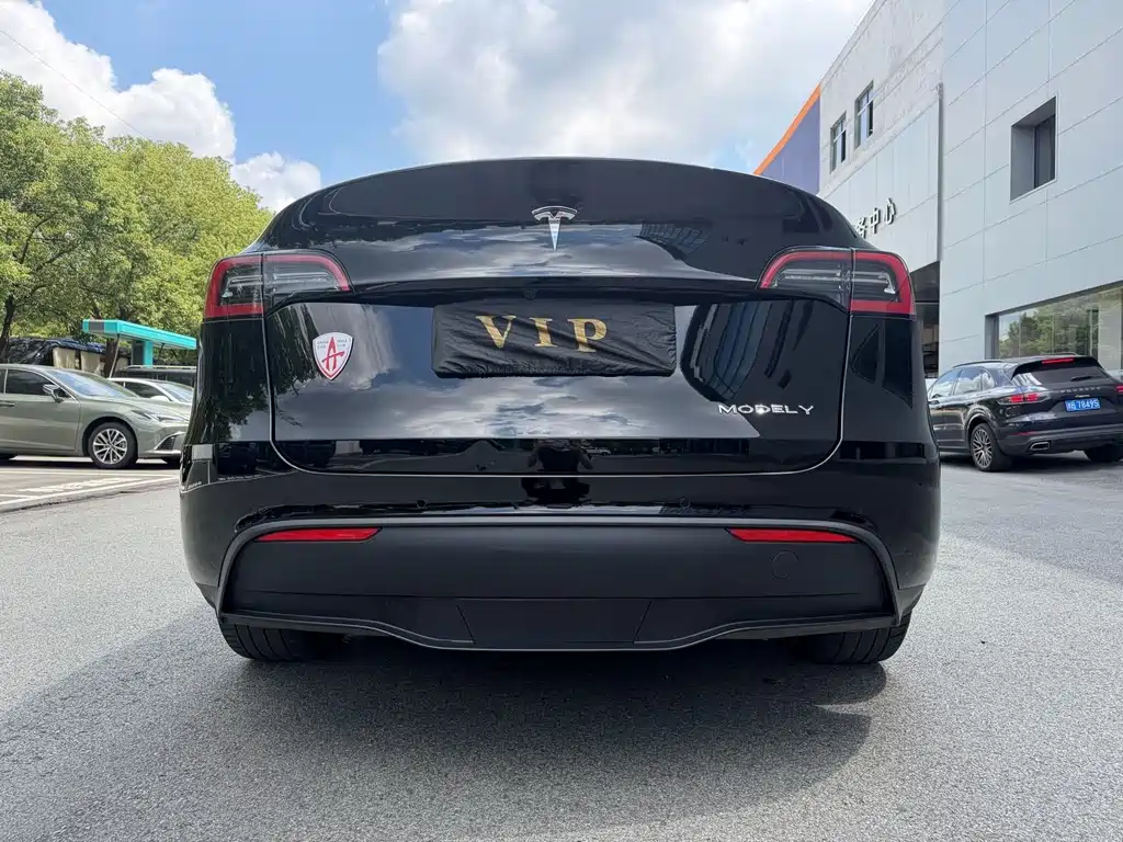 Tesla Model Y — миниатюра 12
