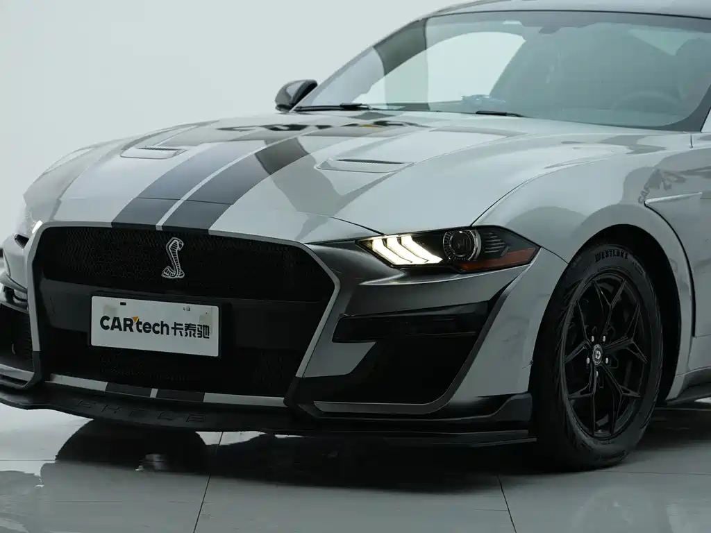 Ford Mustang — миниатюра 12