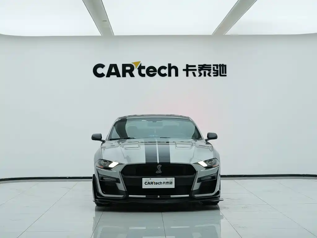 Ford Mustang — миниатюра 7