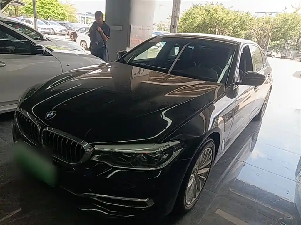 BMW 5 Series New Energy 2020