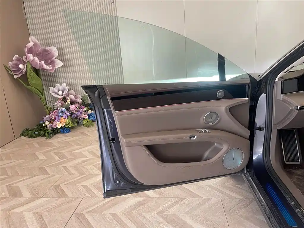 AITO ENJOY THE WORLD S9