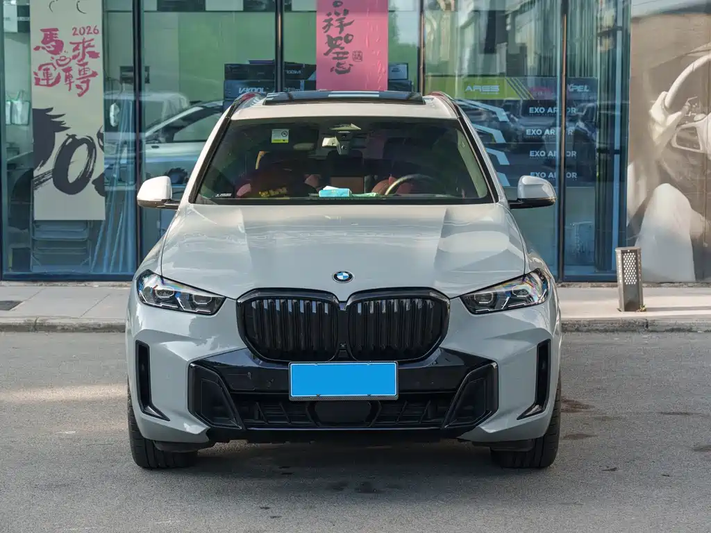 BMW X5 — миниатюра 2