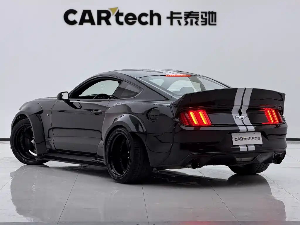 Ford Mustang — миниатюра 13
