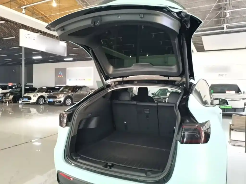Tesla Model Y — миниатюра 19