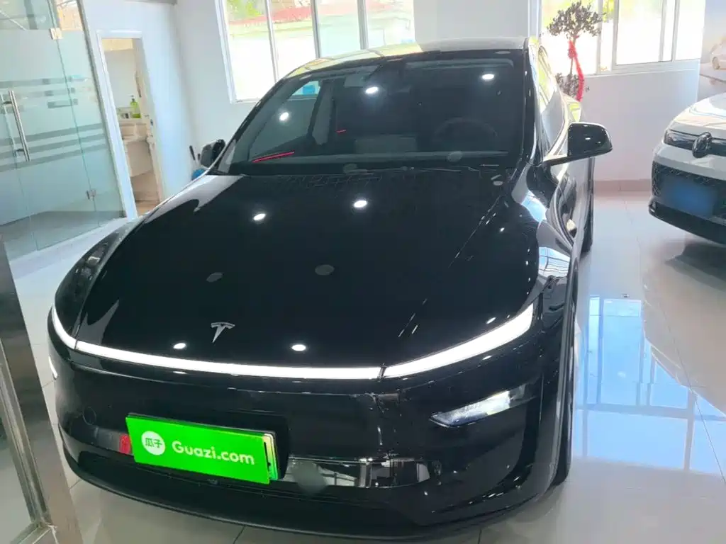 Tesla Model Y — миниатюра 3