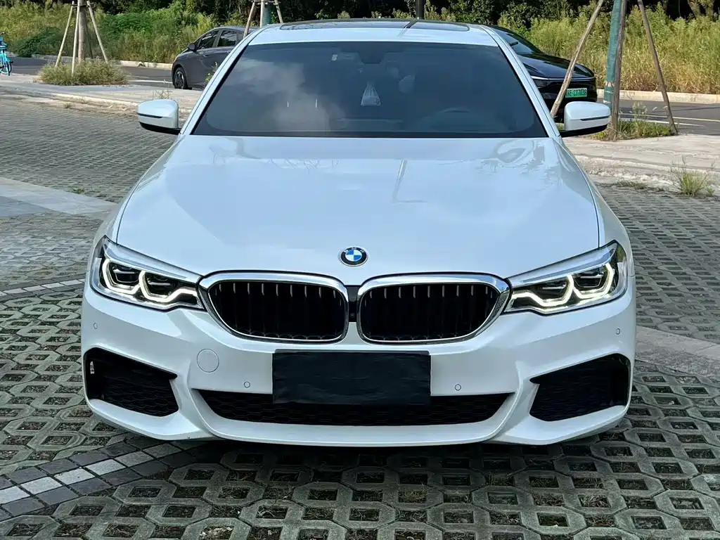 BMW 5 Series — миниатюра 2