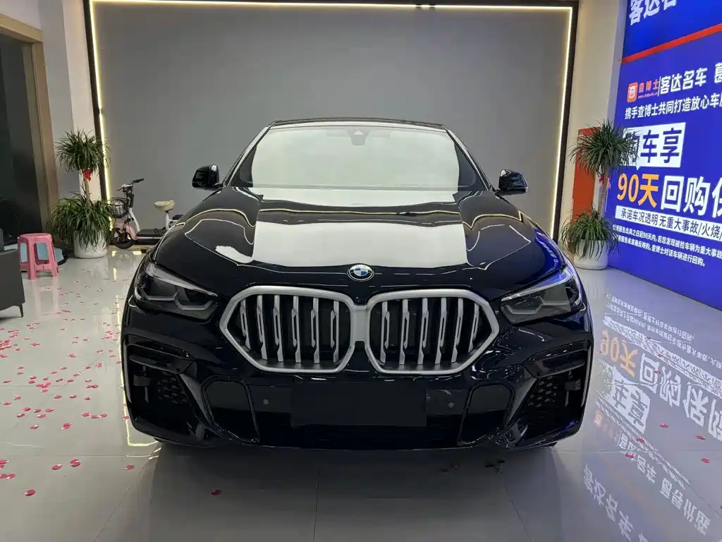 BMW X6 — миниатюра 2