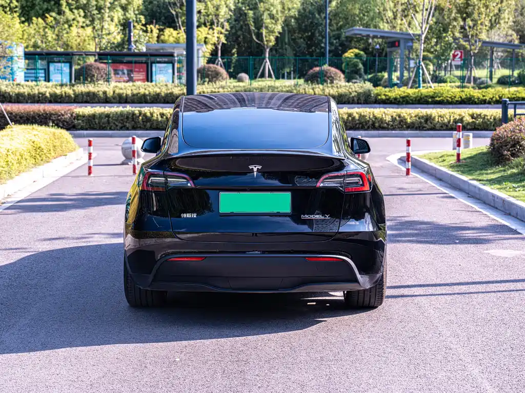 Tesla Model Y — миниатюра 4