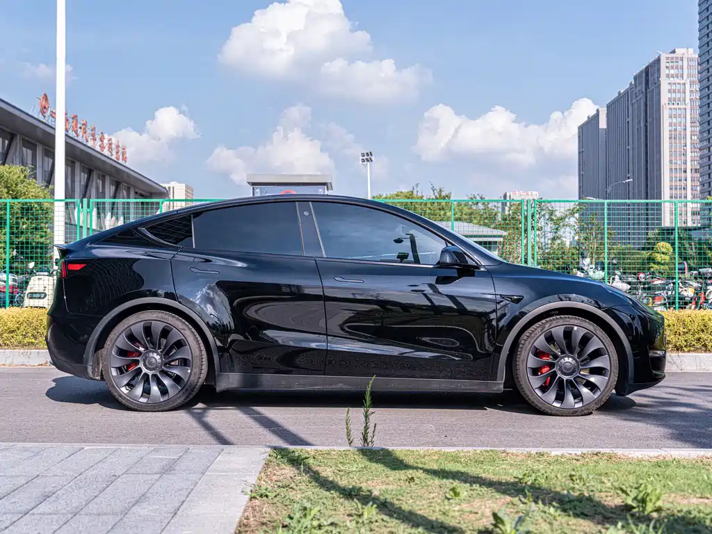 Tesla Model Y — миниатюра 7