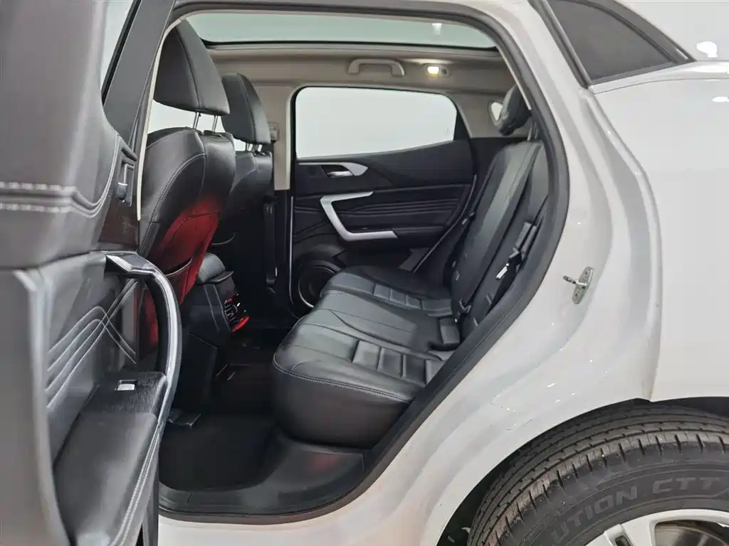 WEI PAI WEI BRAND VV5