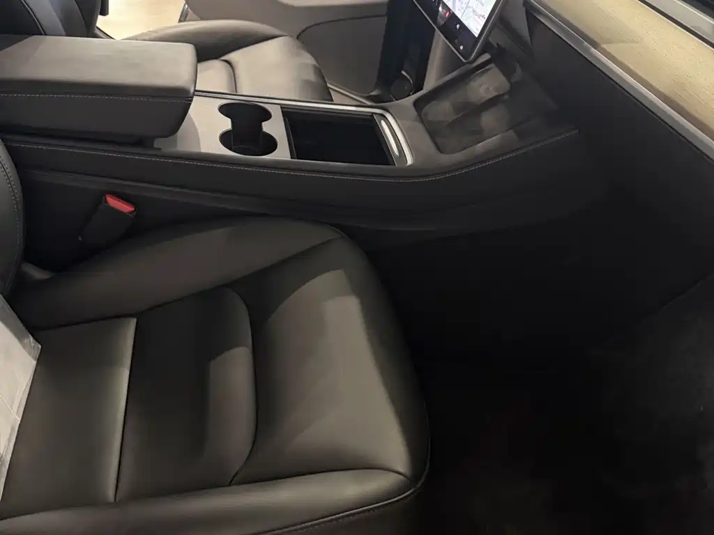 Tesla Model Y — миниатюра 11