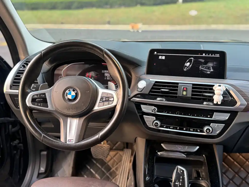 BMW X3 — миниатюра 6