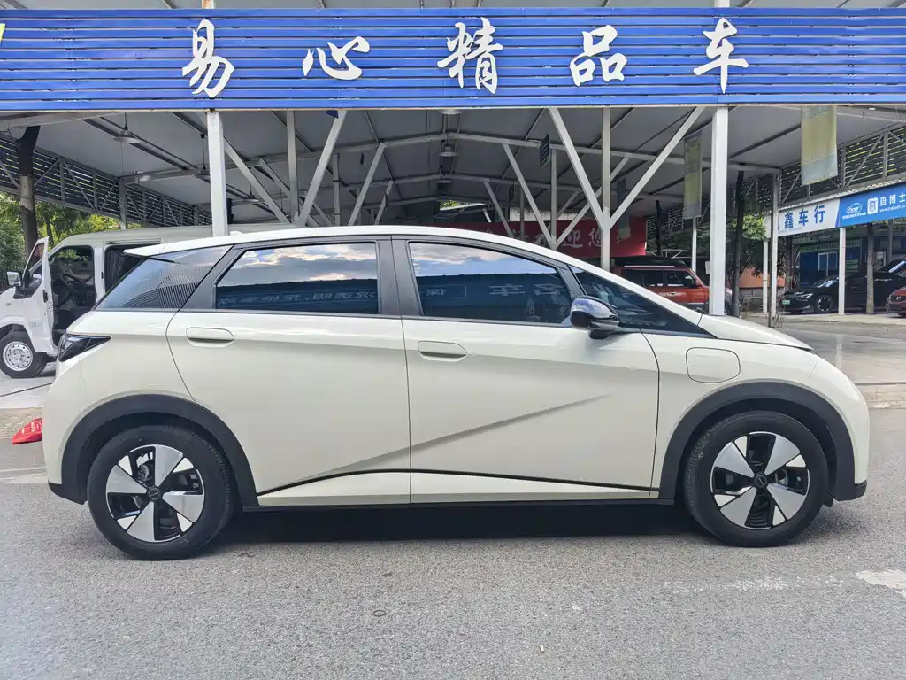 BYD Dolphin — миниатюра 18