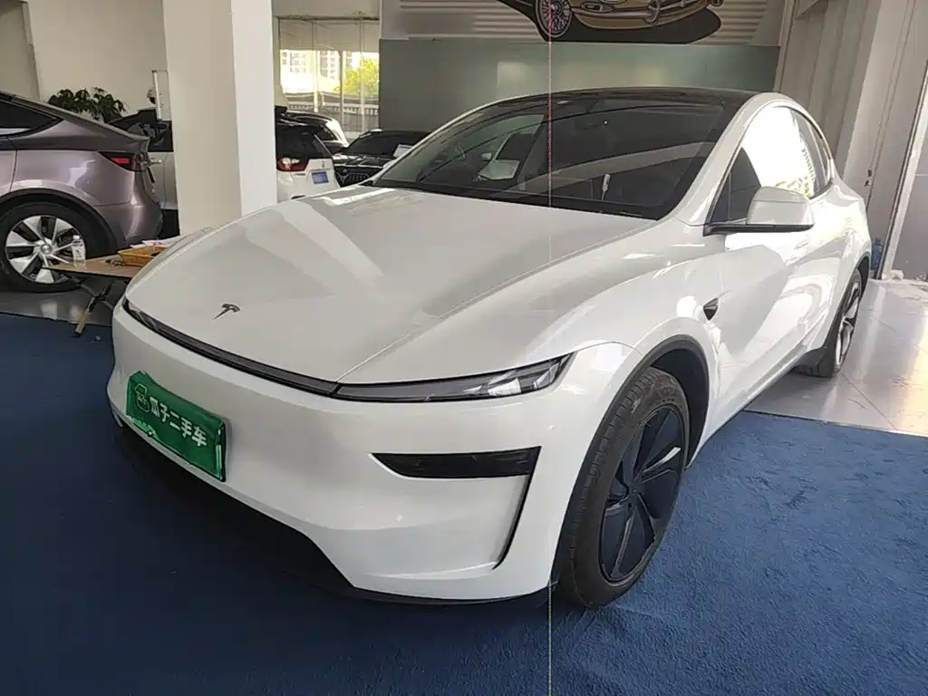 Tesla Model Y — миниатюра 2