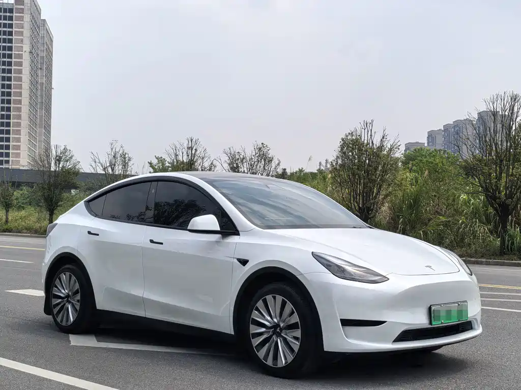 Tesla Model Y — миниатюра 3