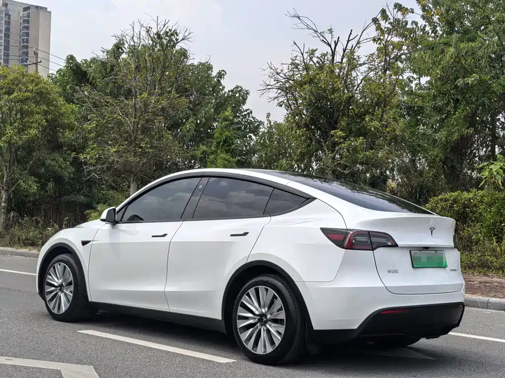 Tesla Model Y — миниатюра 4
