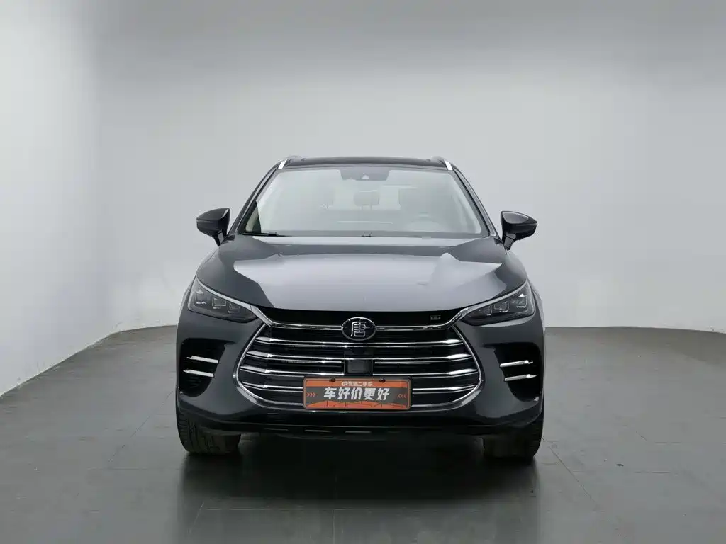 BYD Tang New Energy — миниатюра 3