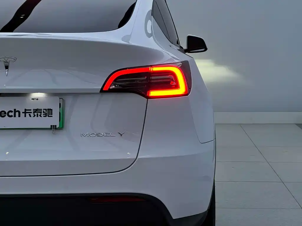 Tesla Model Y — миниатюра 4