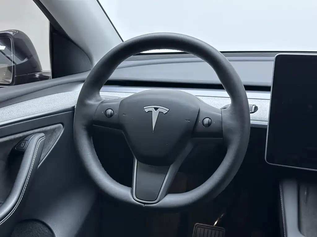 Tesla Model Y — миниатюра 11
