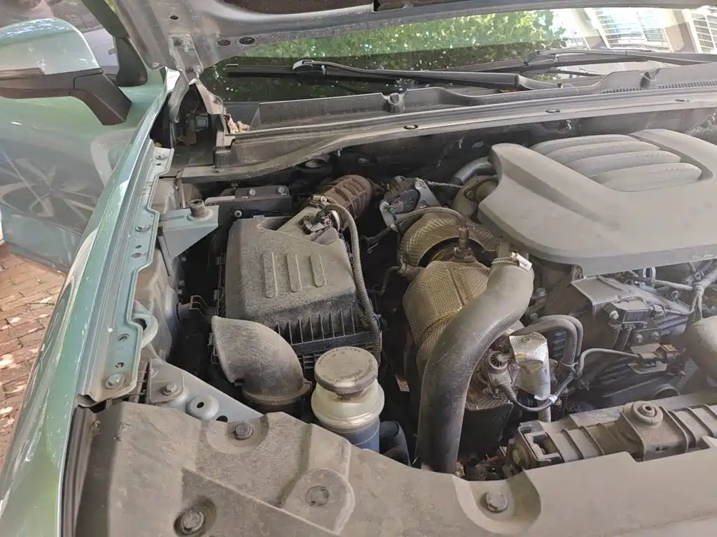 Great Wall King Kong Pao — миниатюра 21
